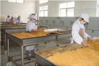 精選肉松批發 黃金松、原味、辣味、雞肉松一站式供應，量大優惠包郵