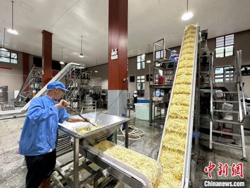 小竹筍闖出大世界 江西樂安做優做強竹筍產業，鋪就鄉村致富路